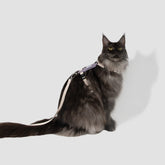 H-Style Cat Harness & Leash Set, gallery 2